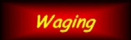 Hier geht's zur Waging-Seite